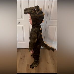 Kids Dinosaur Costume - Green and Brown